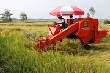 Năm tiêu chí công nhận vùng nông nghiệp công nghệ cao 